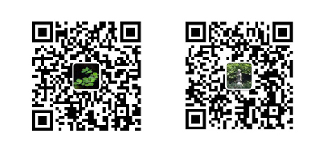 weixin.jpg